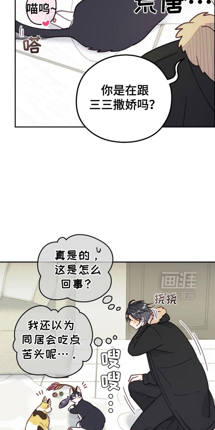 第60章：如你所愿吧