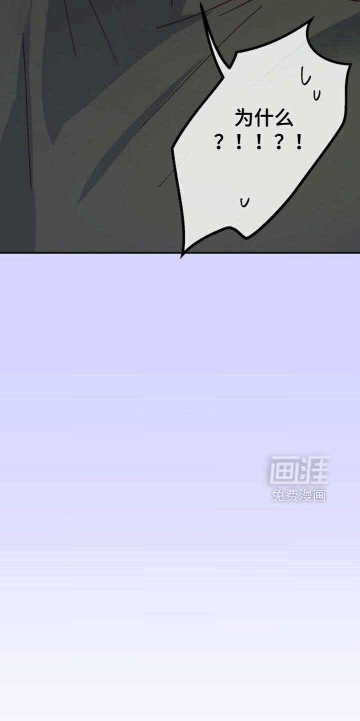 第60章：如你所愿吧