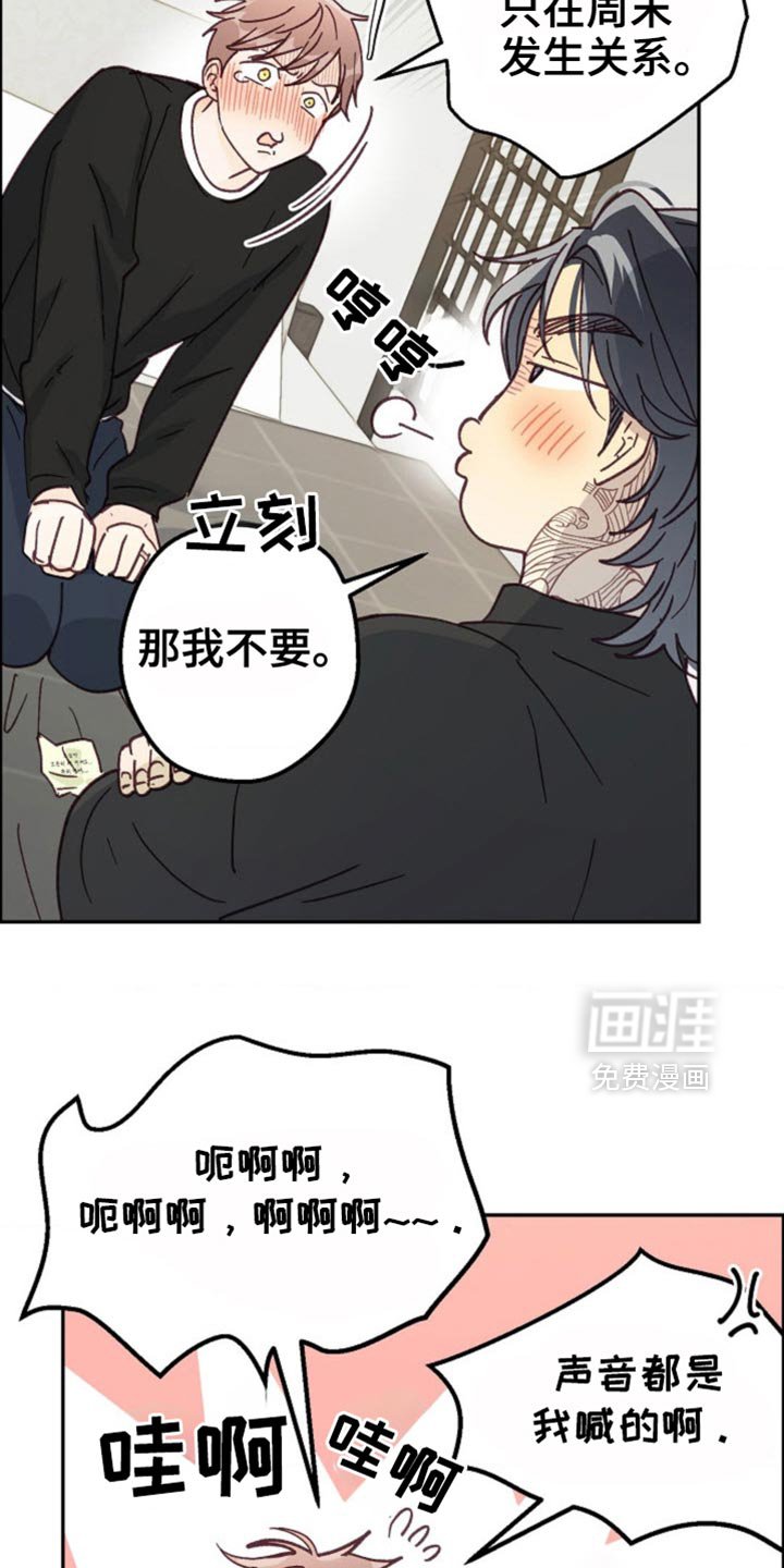 第60章：如你所愿吧