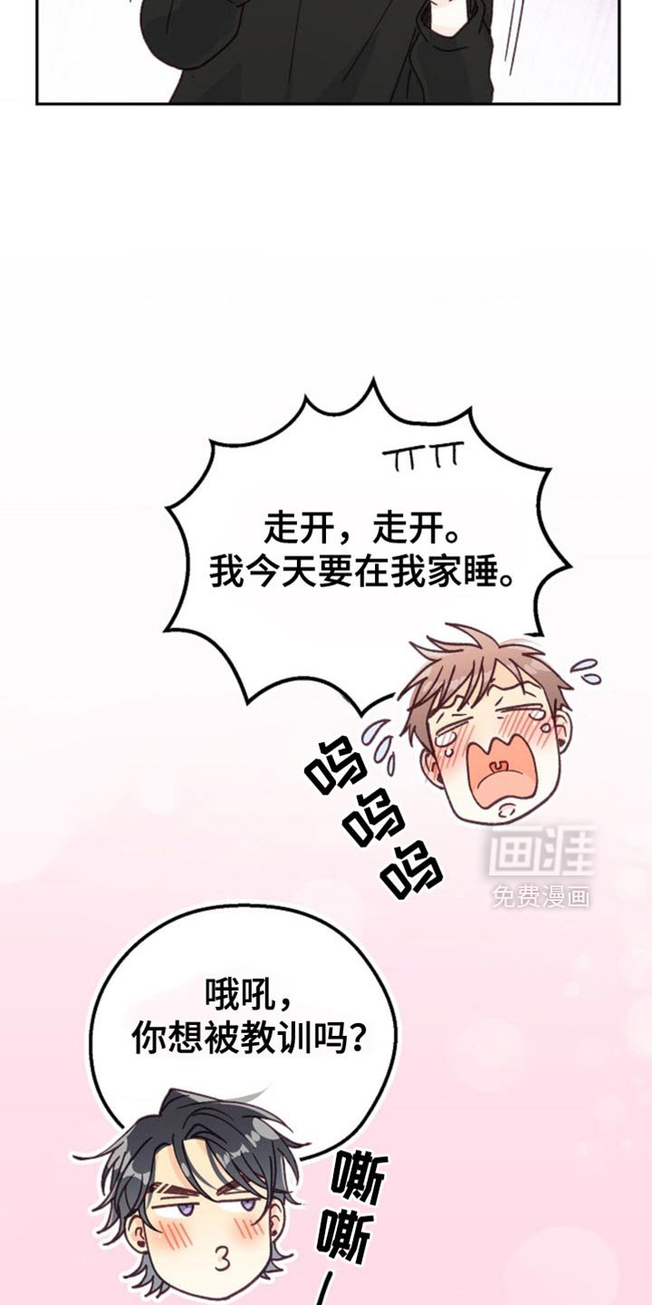 第60章：如你所愿吧