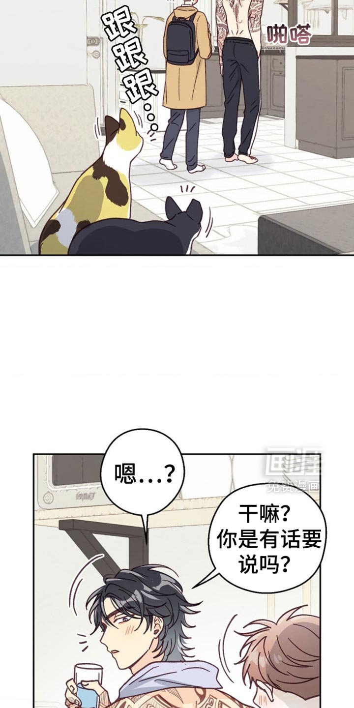 第61章：该死的便利贴