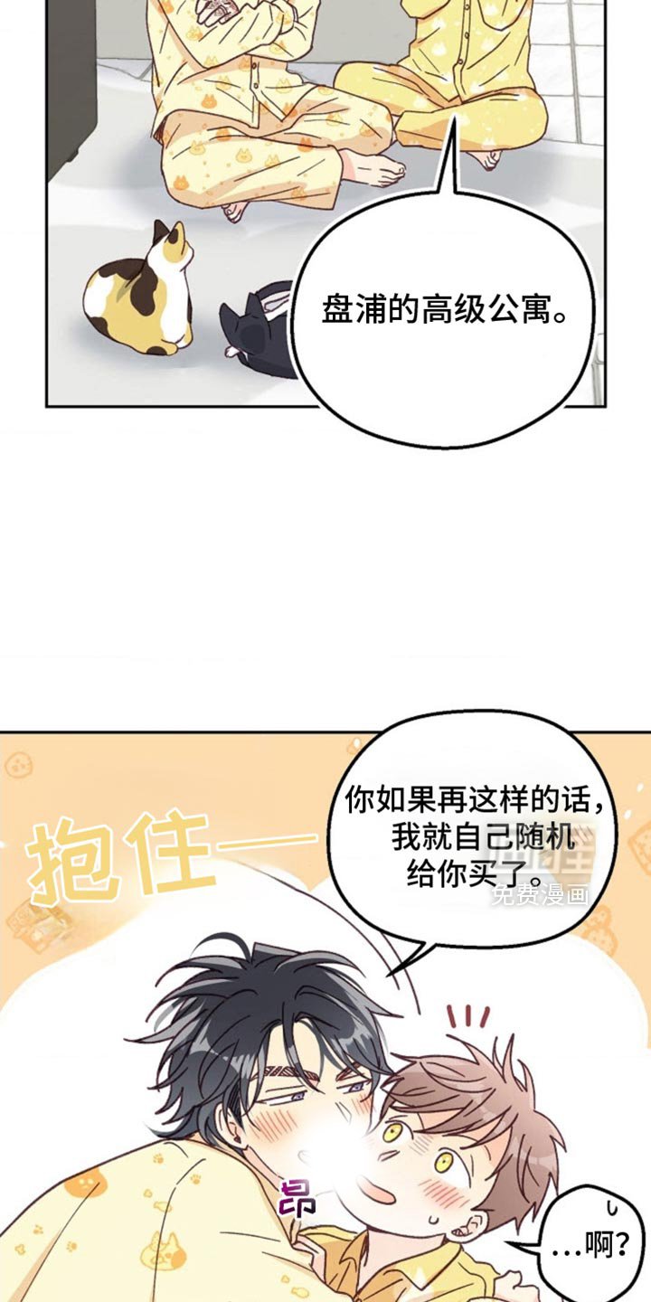 第62章：不容小觑