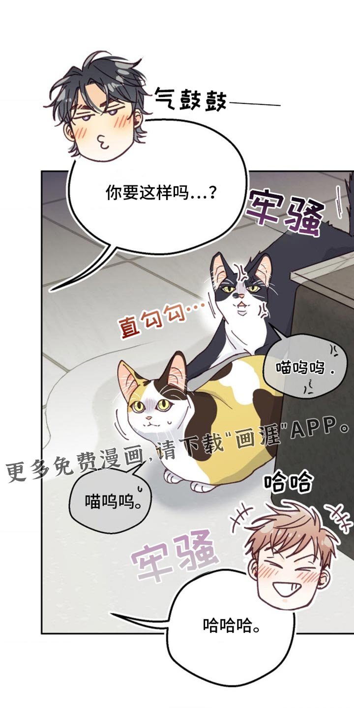 第62章：不容小觑