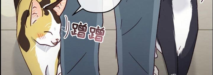 第63章：生日快乐