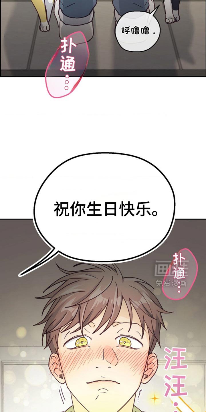 第63章：生日快乐