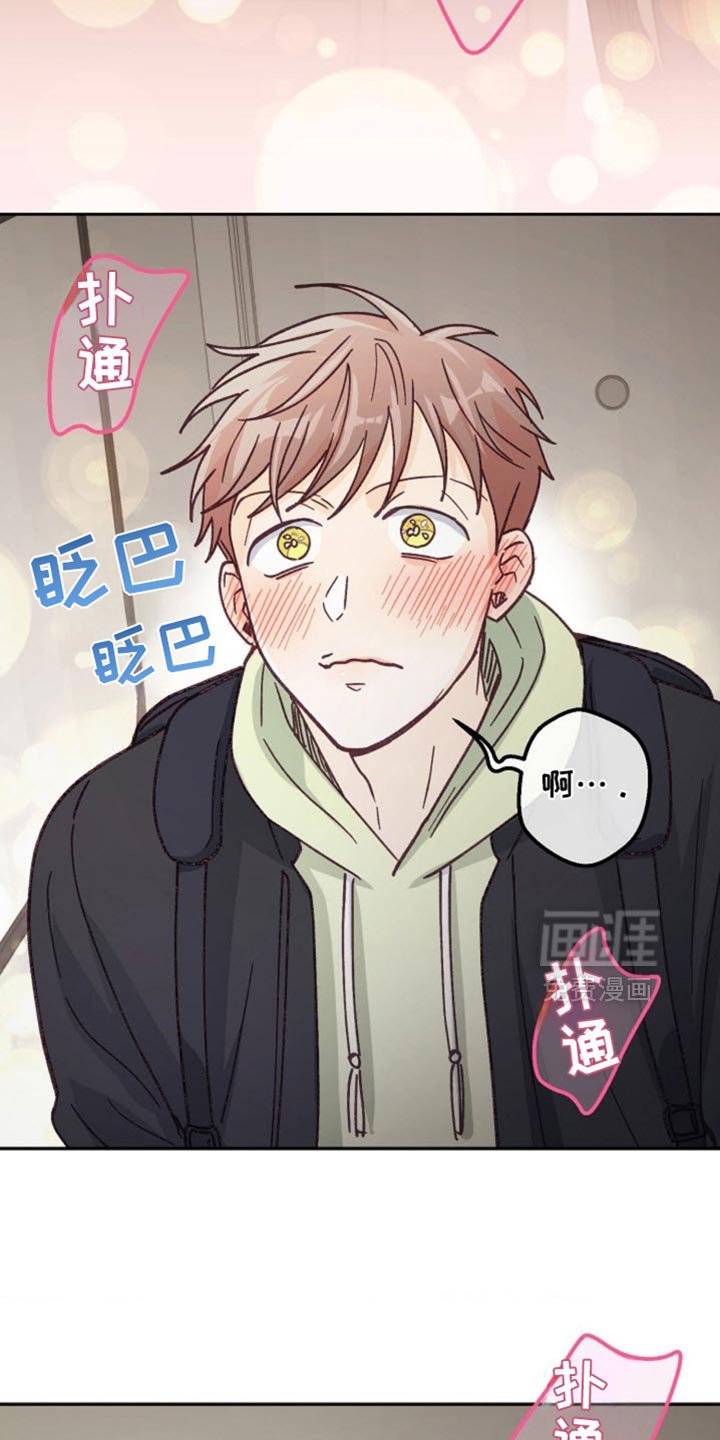 第63章：生日快乐