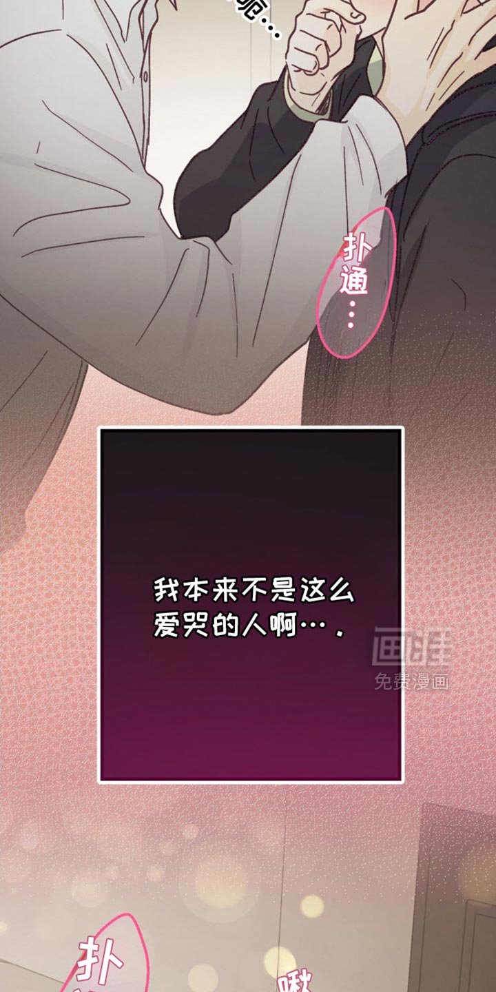 第63章：生日快乐