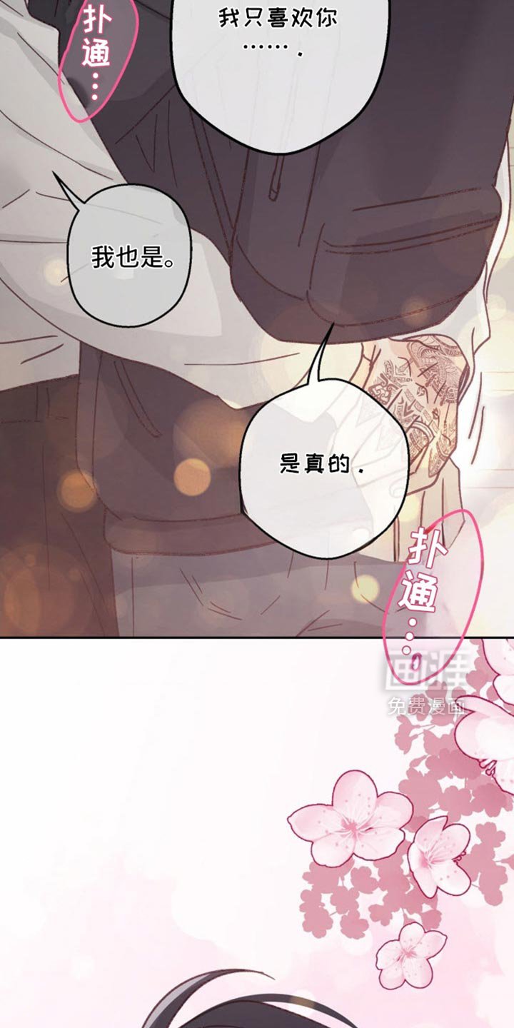第63章：生日快乐