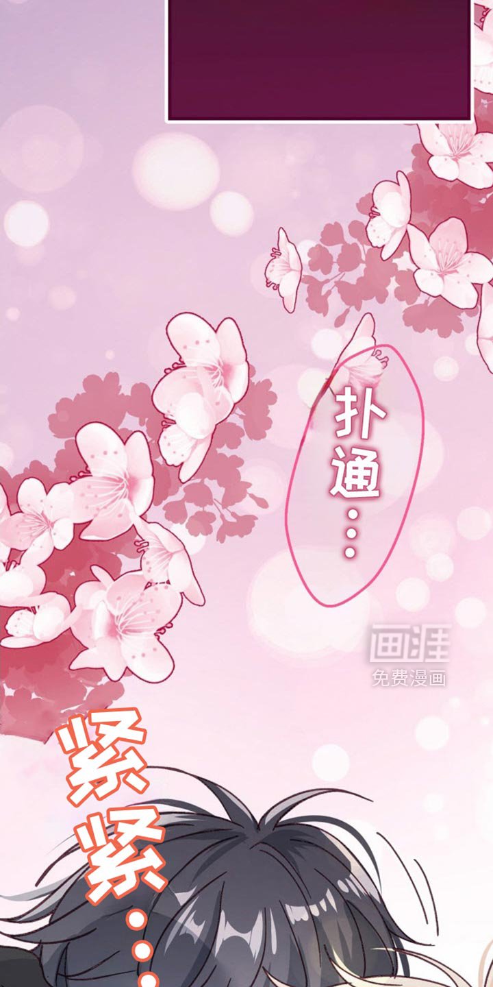 第63章：生日快乐