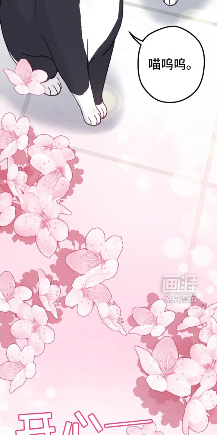 第63章：生日快乐