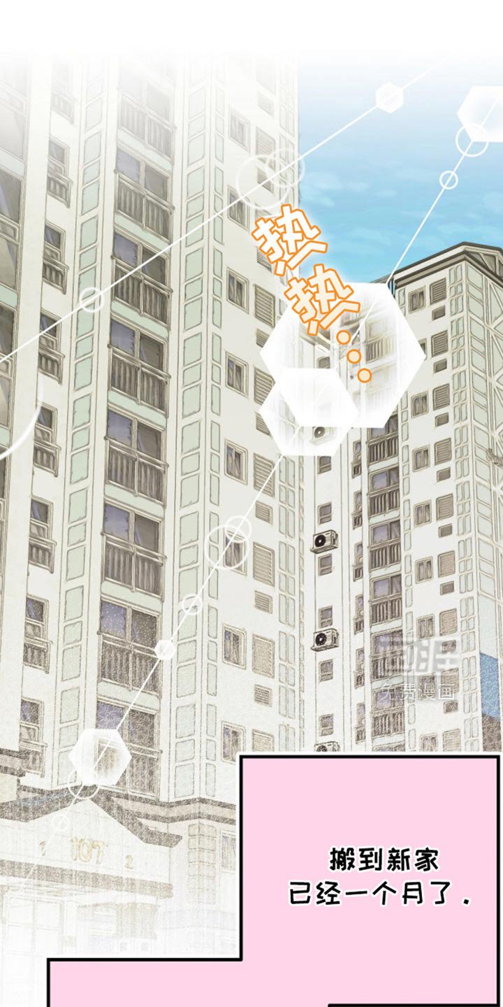 第64章：正式的恋人