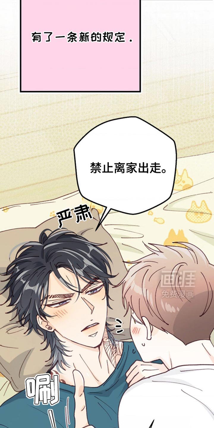 第64章：正式的恋人