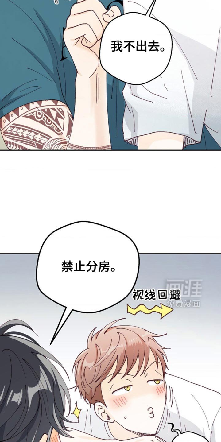 第64章：正式的恋人
