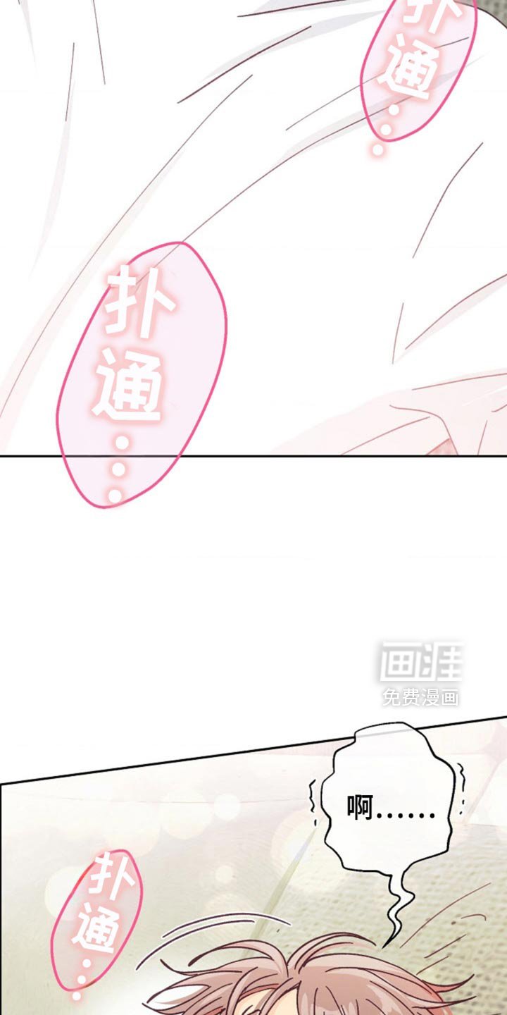 第65章：没有异常