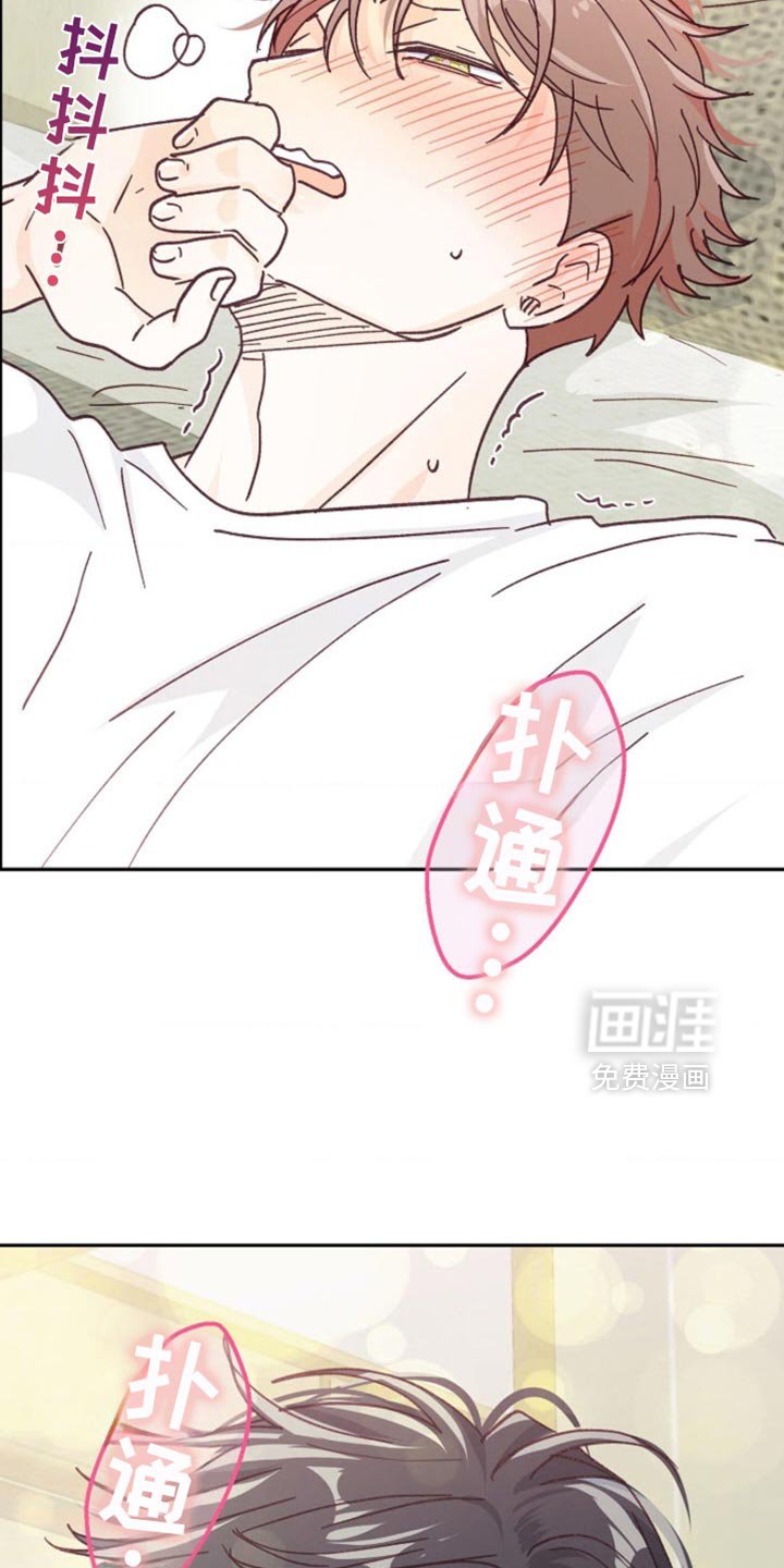 第65章：没有异常