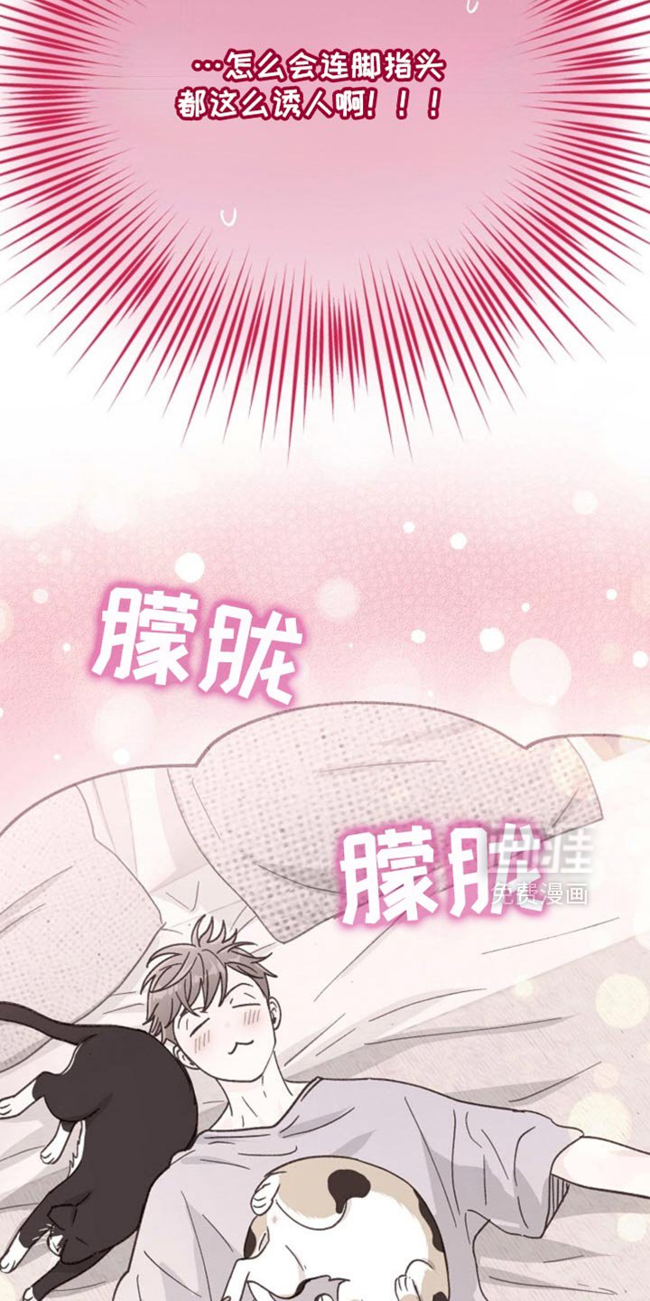 第66章：太诱人了