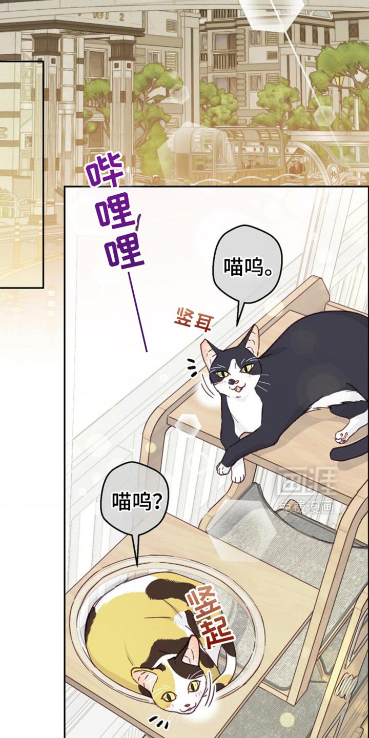 第68章：我休假了
