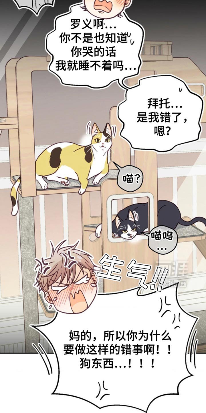 第71章：相信我吧！