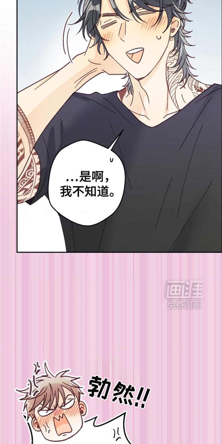 第71章：相信我吧！
