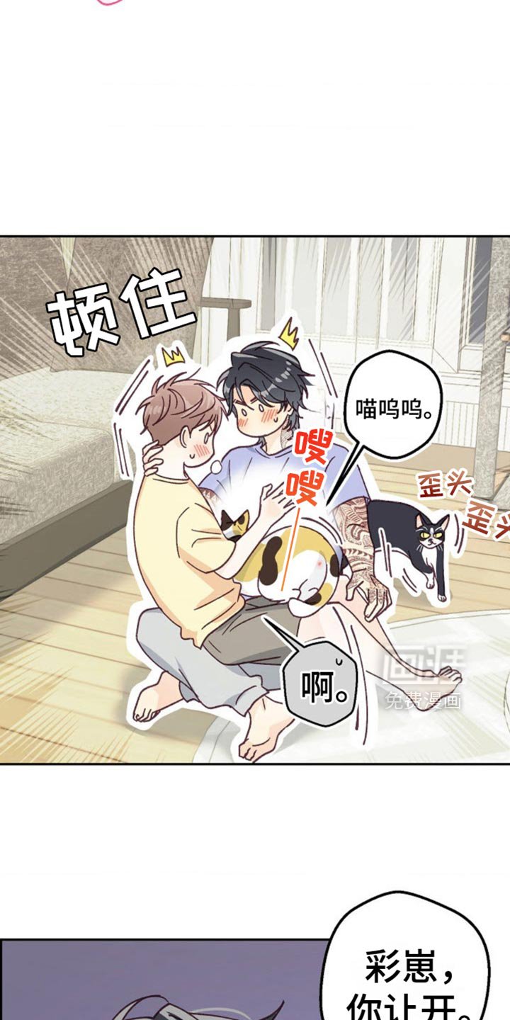 第73章：骗人的话
