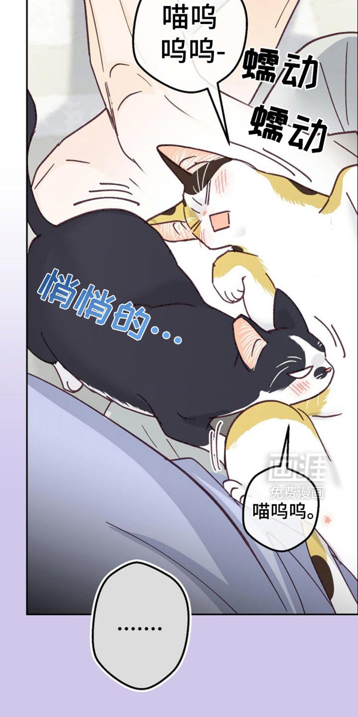 第73章：骗人的话