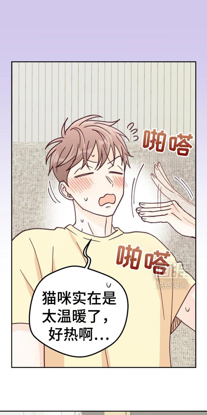 第73章：骗人的话