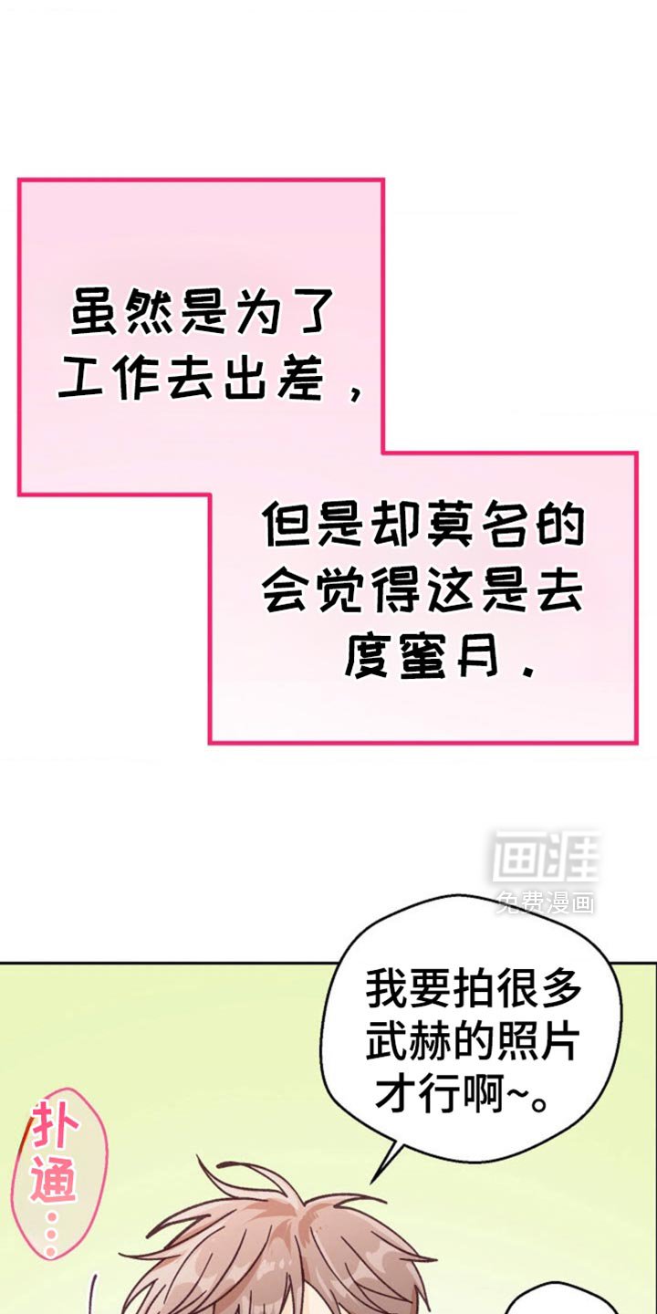 第74章：我们就一起走下去吧【完结】