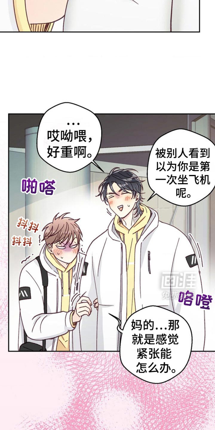 第74章：我们就一起走下去吧【完结】