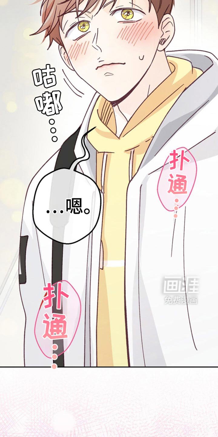 第74章：我们就一起走下去吧【完结】