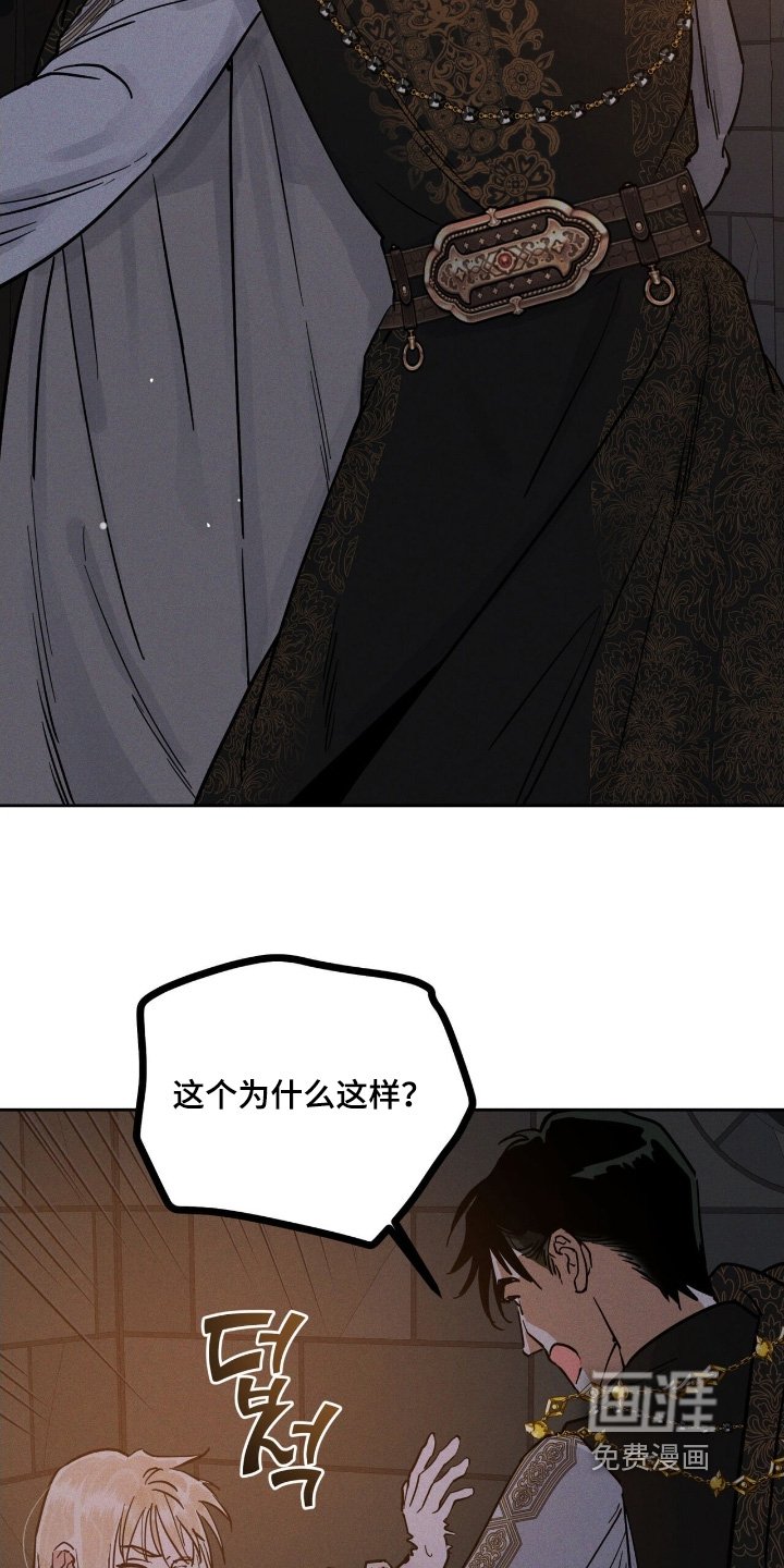 第110章：发作