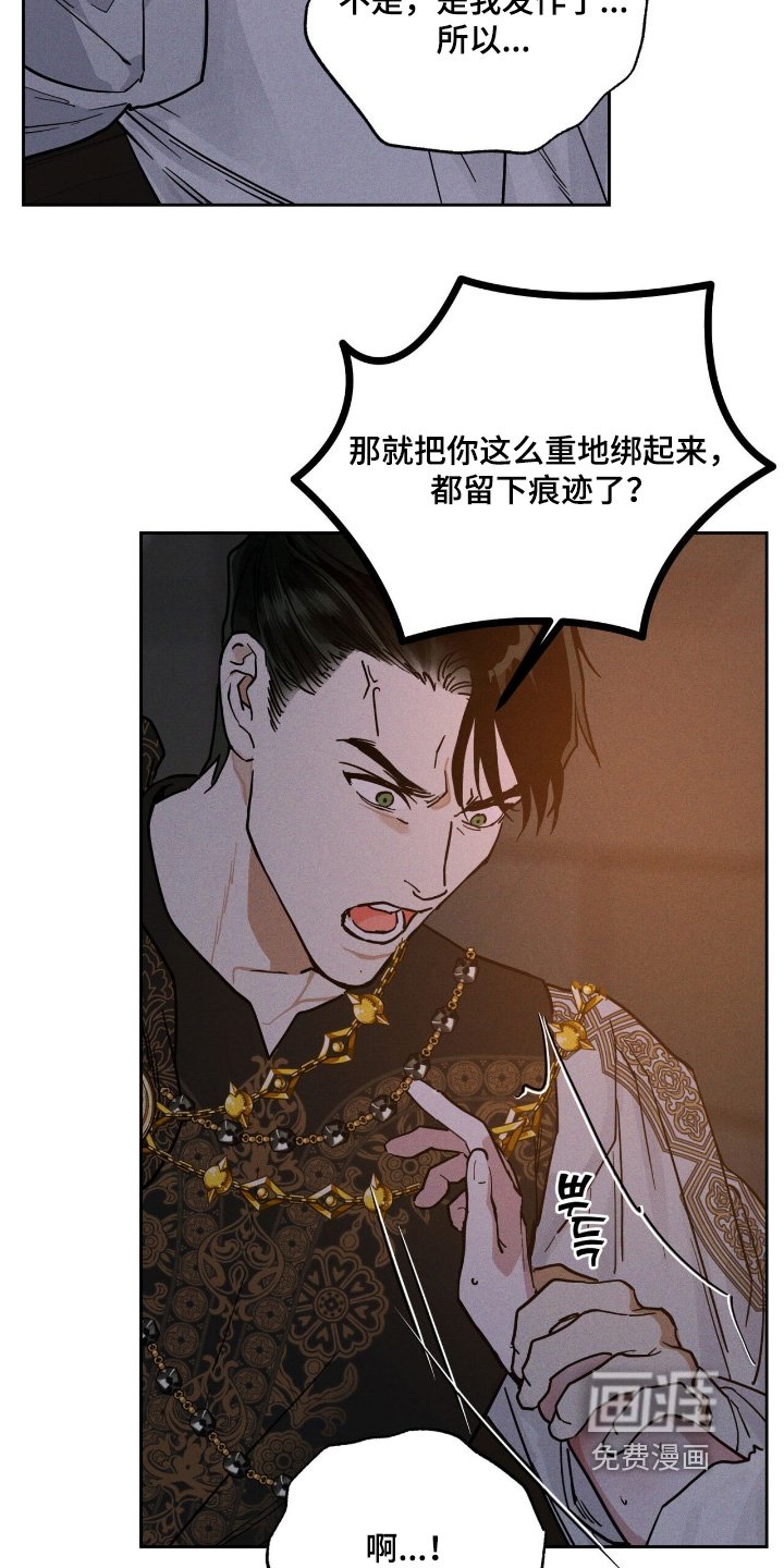 第110章：发作