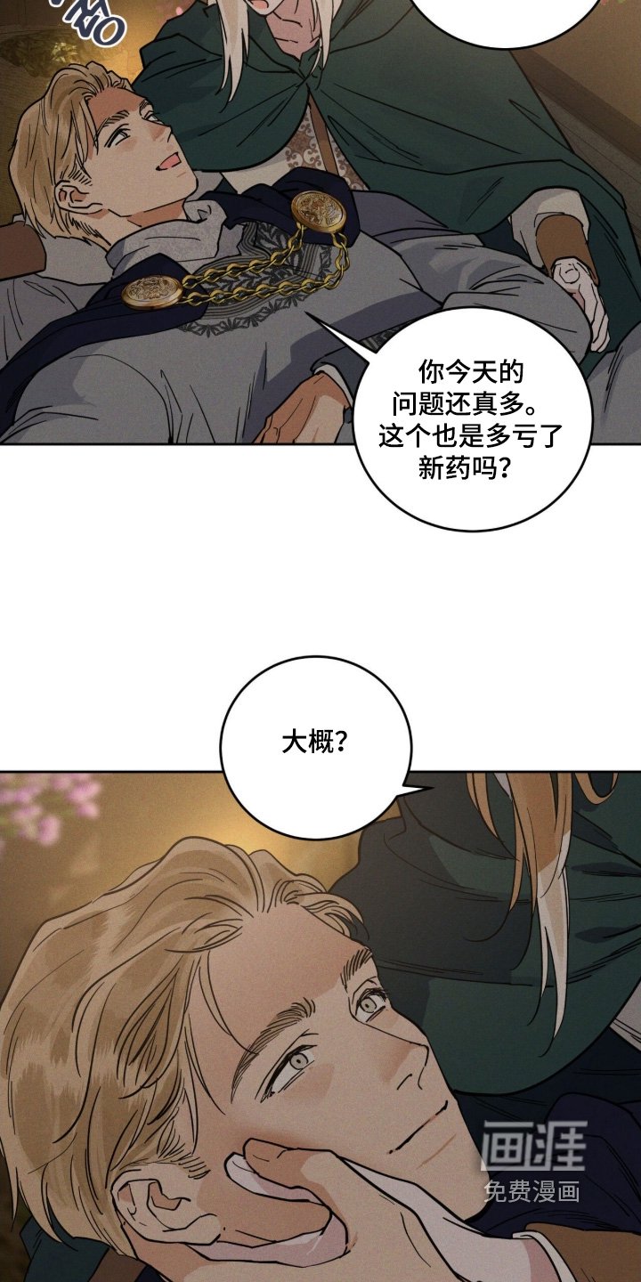 第113章：报仇
