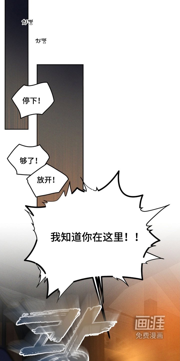第113章：报仇