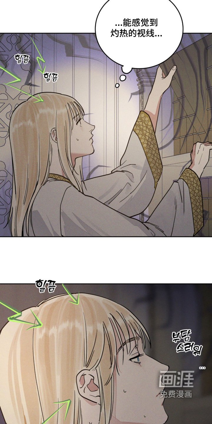 第116章：最后一次