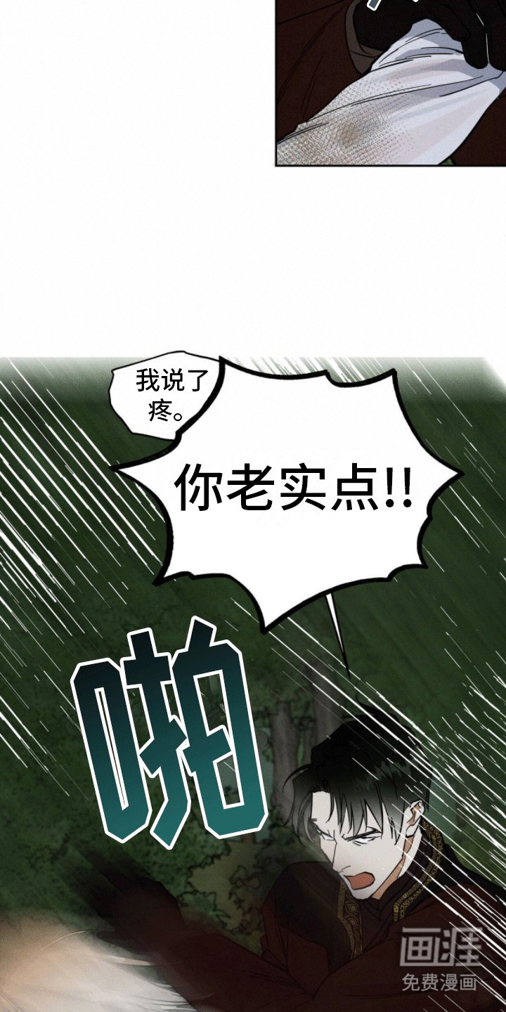 第11章：狩猎