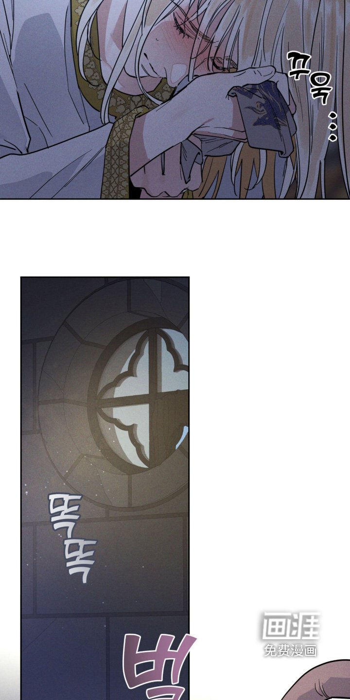 第118章：被子