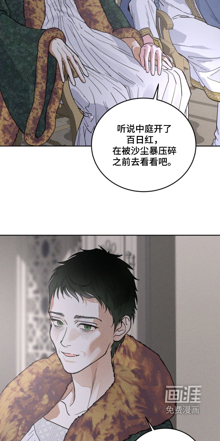 第120章：监视
