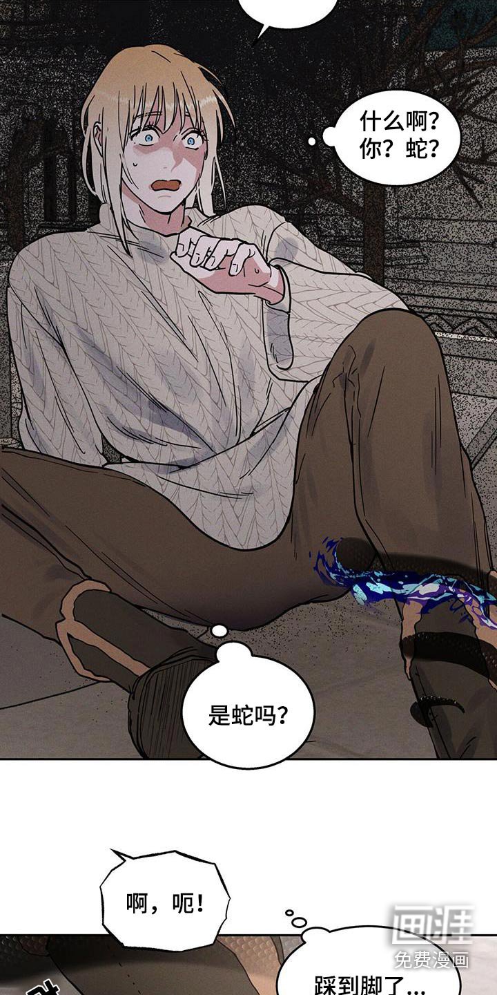 第61章：散散步
