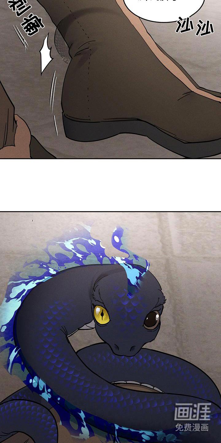 第61章：散散步