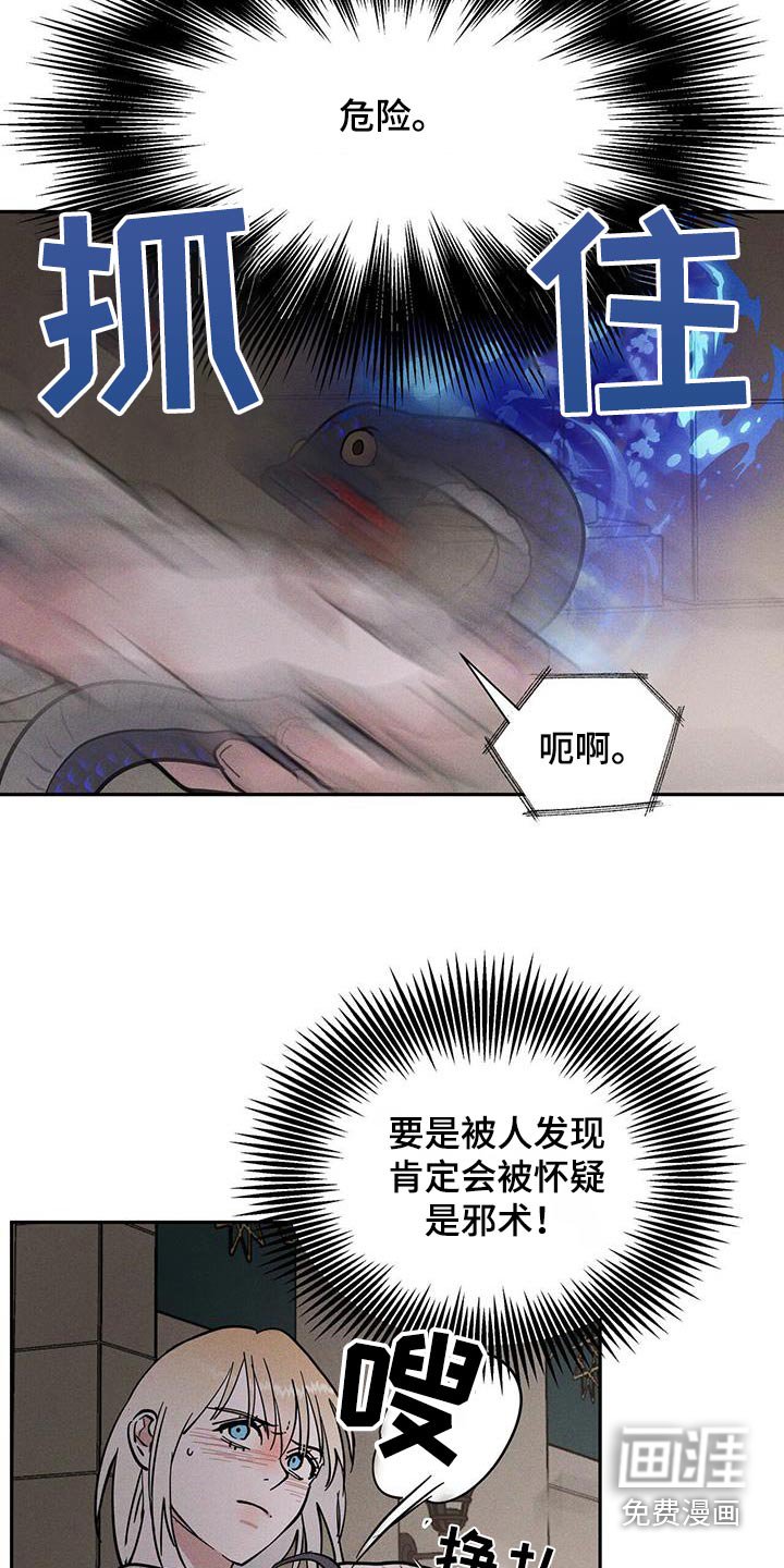 第61章：散散步