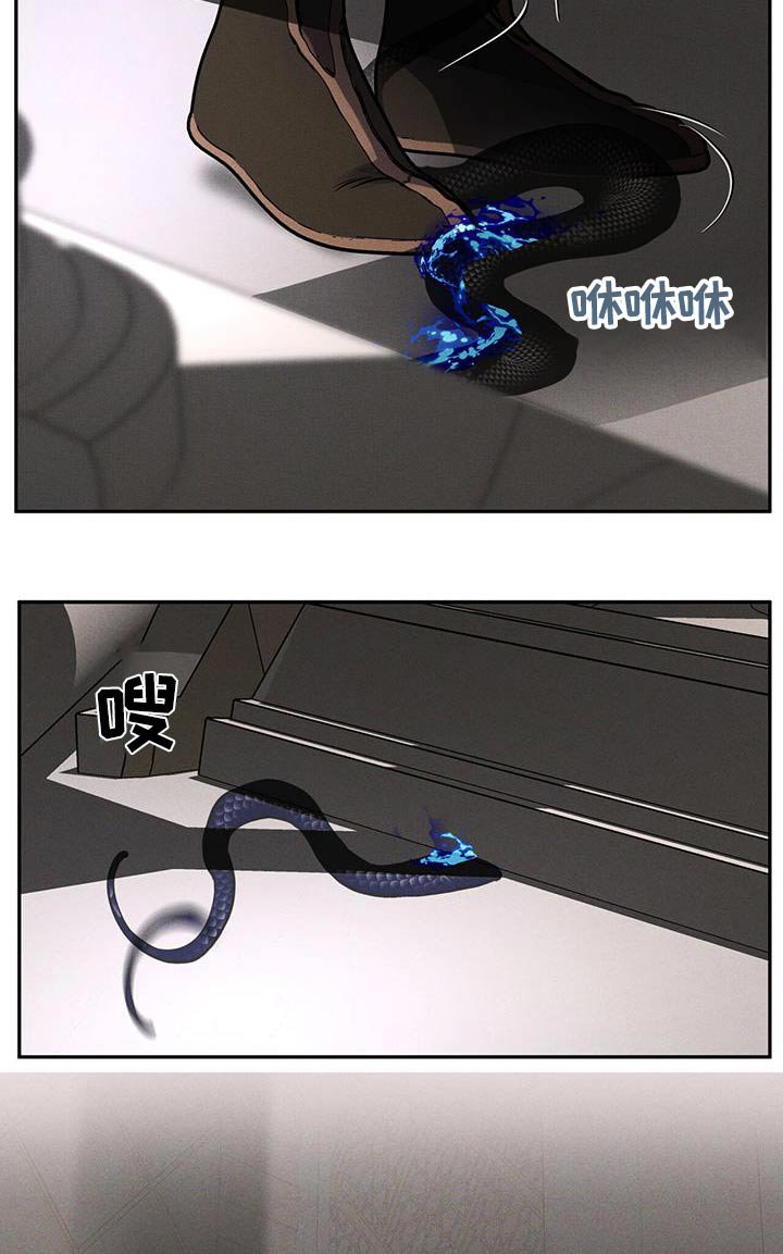 第62章：有蛇