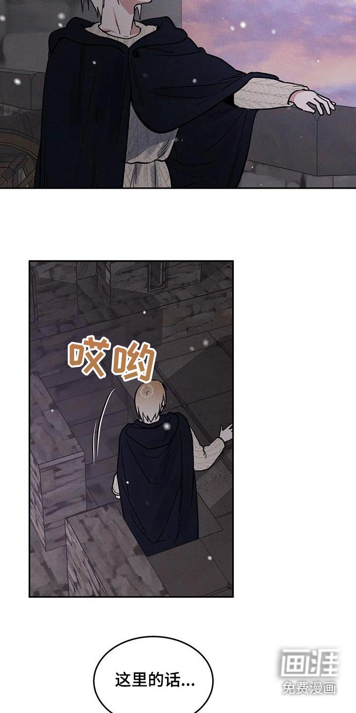 第63章：私生子的事