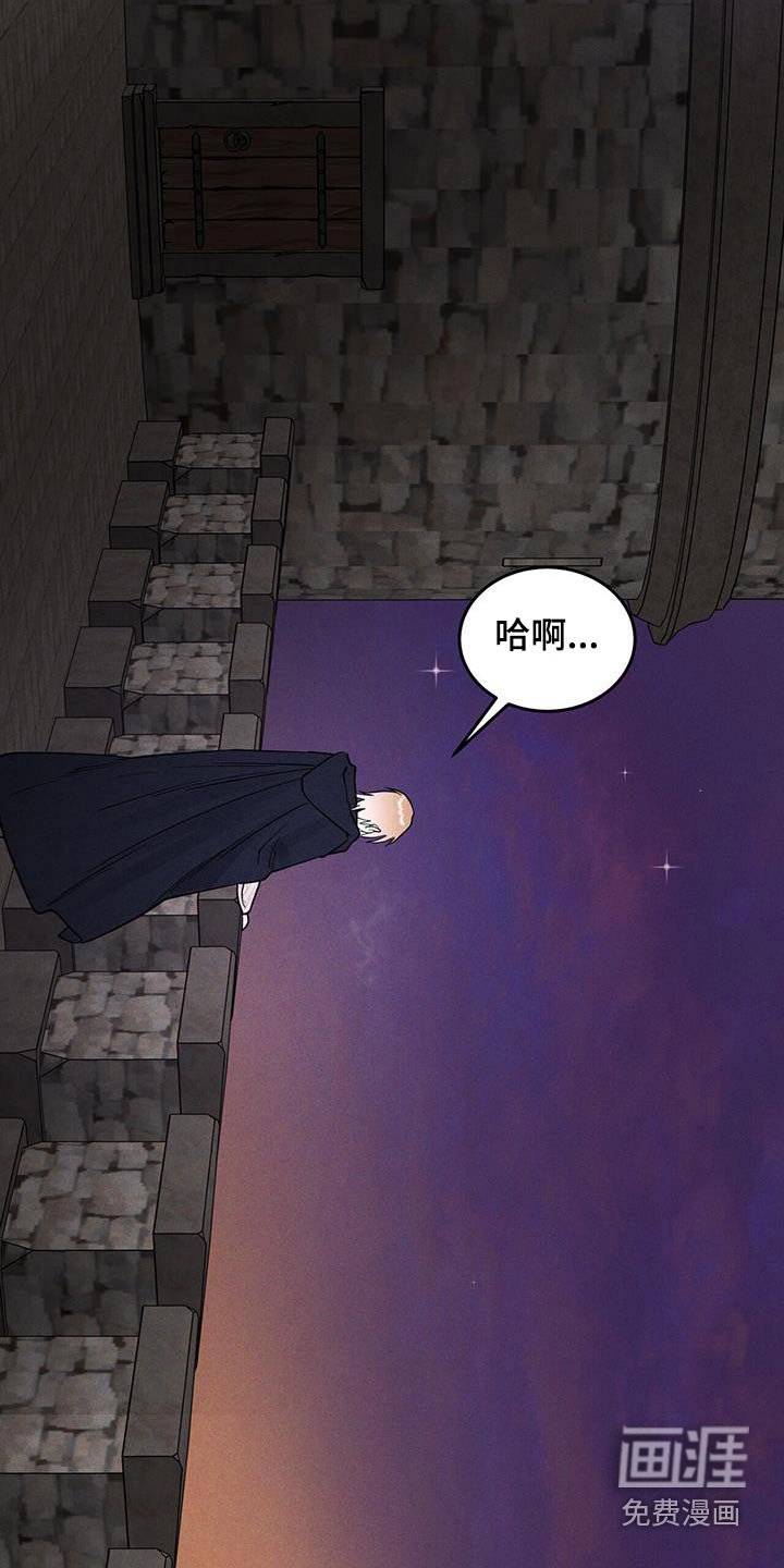 第63章：私生子的事