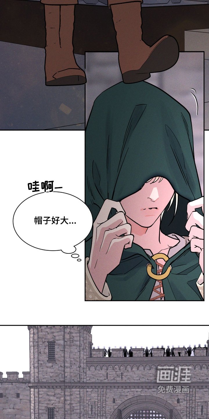 第76章：什么内容