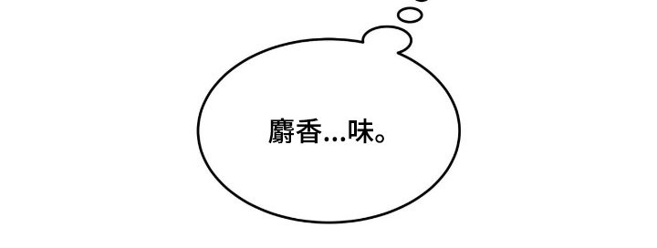 第76章：什么内容