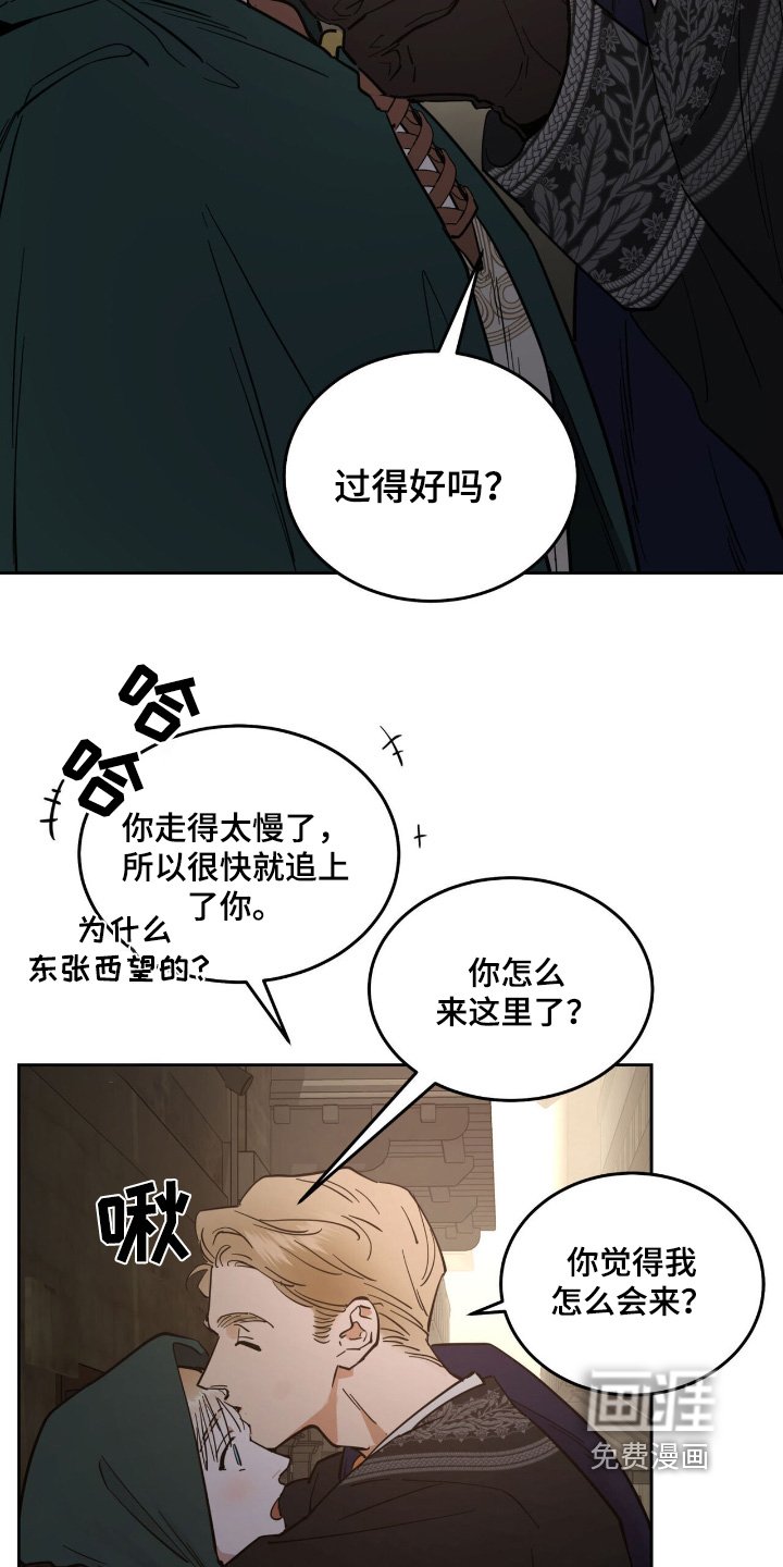 第77章：出来了