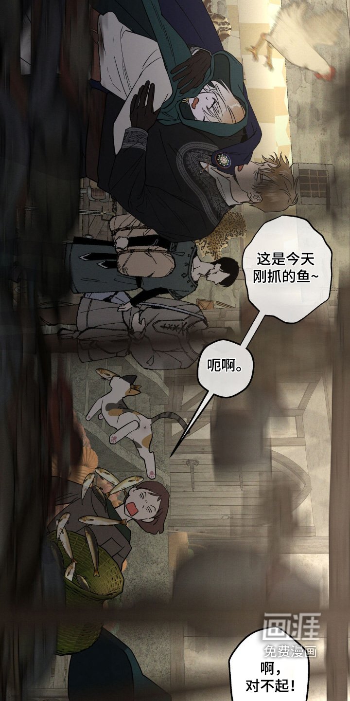 第77章：出来了