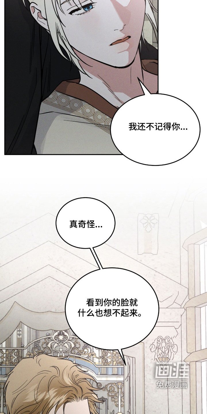 第81章：什么帮助