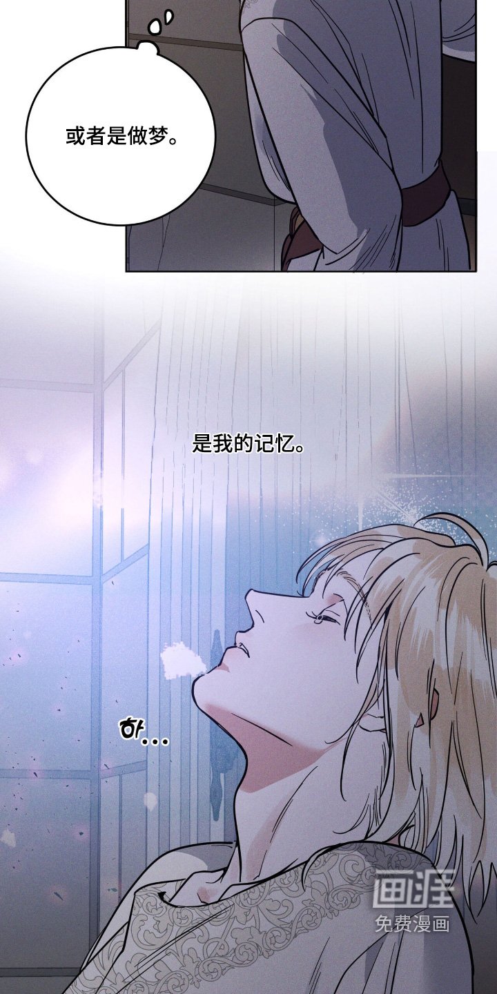 第95章：是记忆