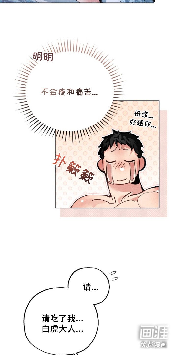 第6章：小福星